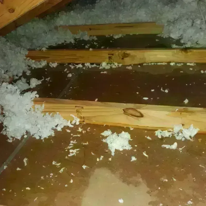 Attic Water Damage in Genola, UT